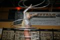 Gogogirl Kathrin Wien